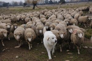 These 8 lessons are crucial in leadership