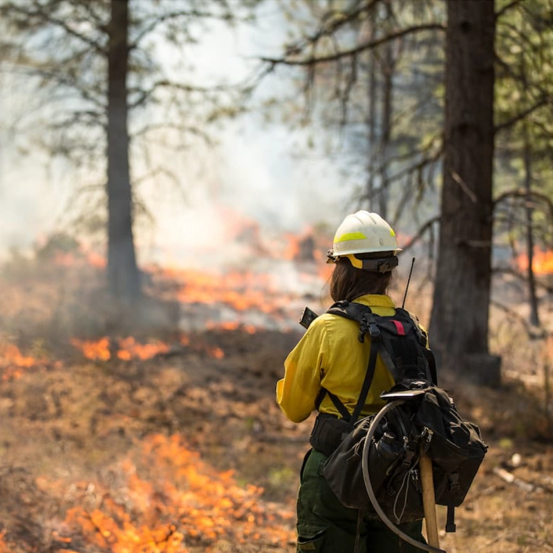 Wildfire Smoke Can Be a Silent Trigger for Heart Problems