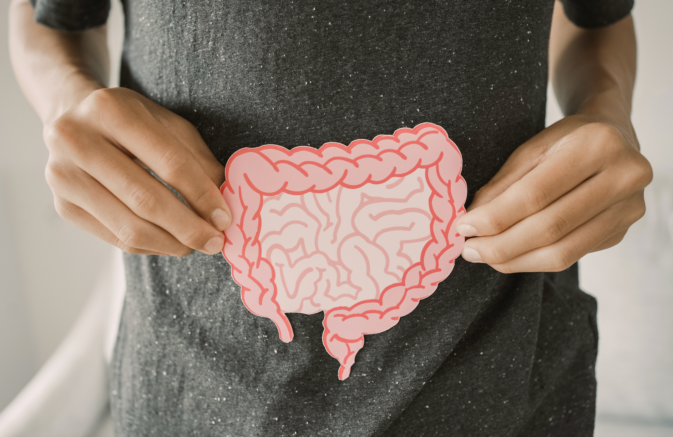 What Happens to Your Gut During Cyclospora Treatment?