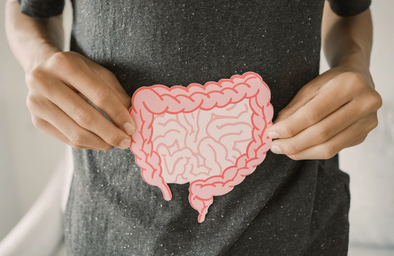 What Happens to Your Gut During Cyclospora Treatment?