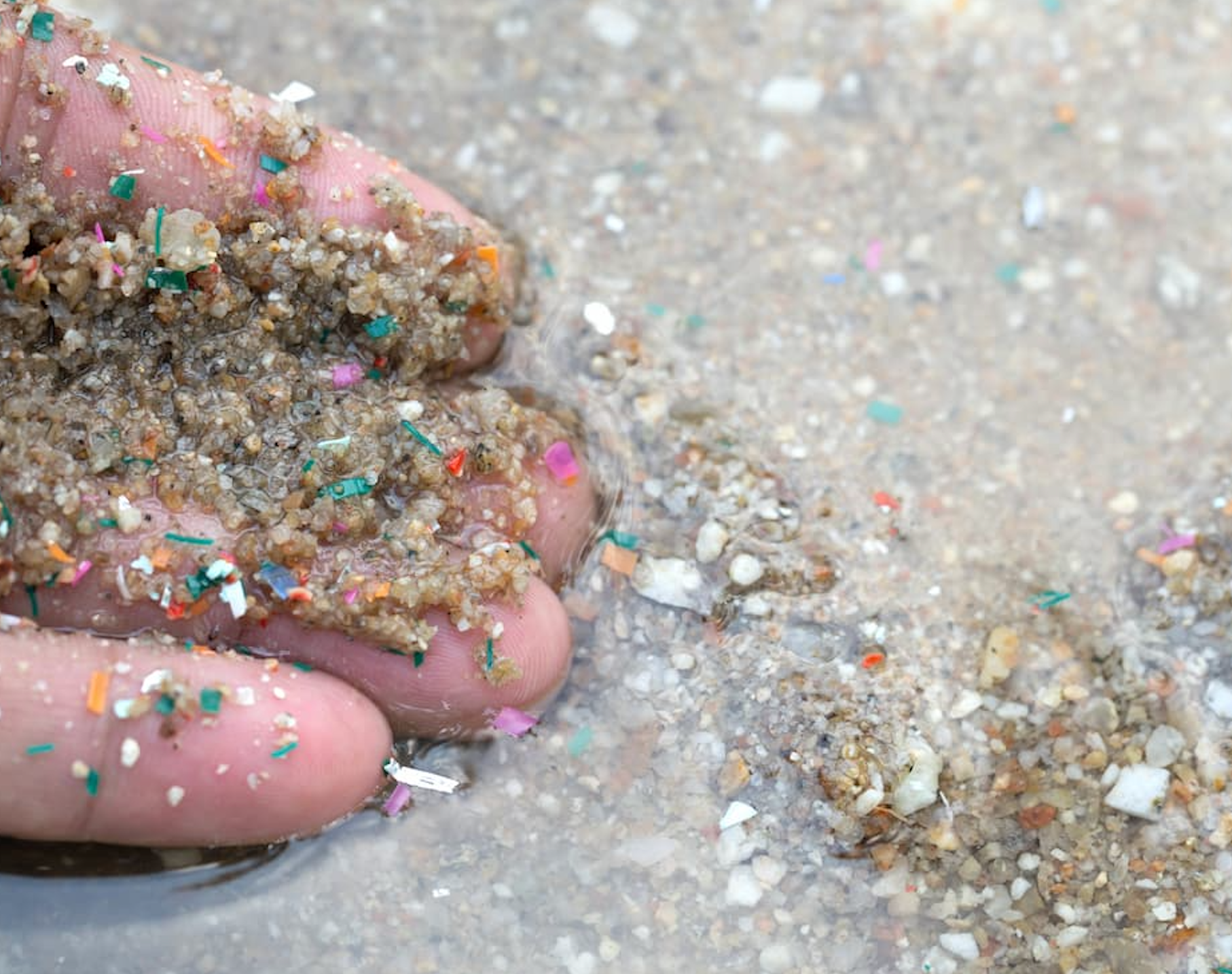 Could Microplastics in the Ocean Affect Brain and Mobility Health?