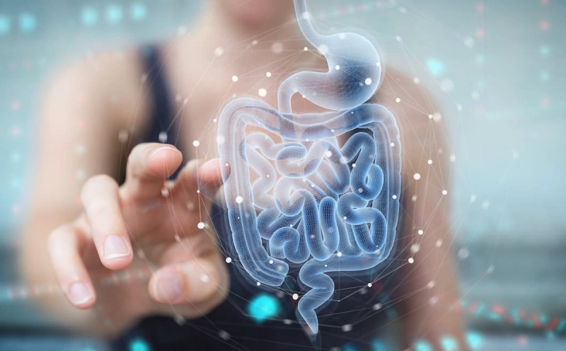 Could Gut Bacteria Be Triggering Lupus Flares?