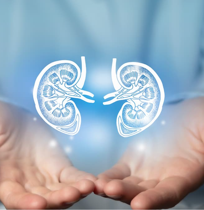Managing Bone Health After Kidney Transplant, with Abdul Ali Abdellatif, M.D.