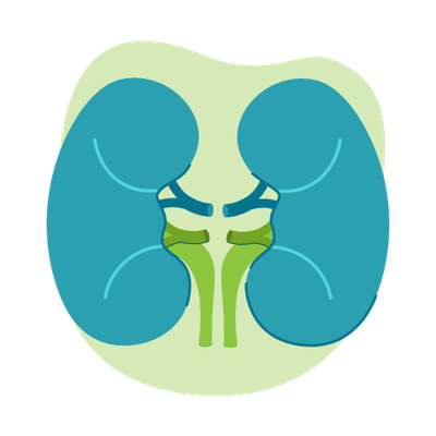 Kidney Health cartoon thumbnail