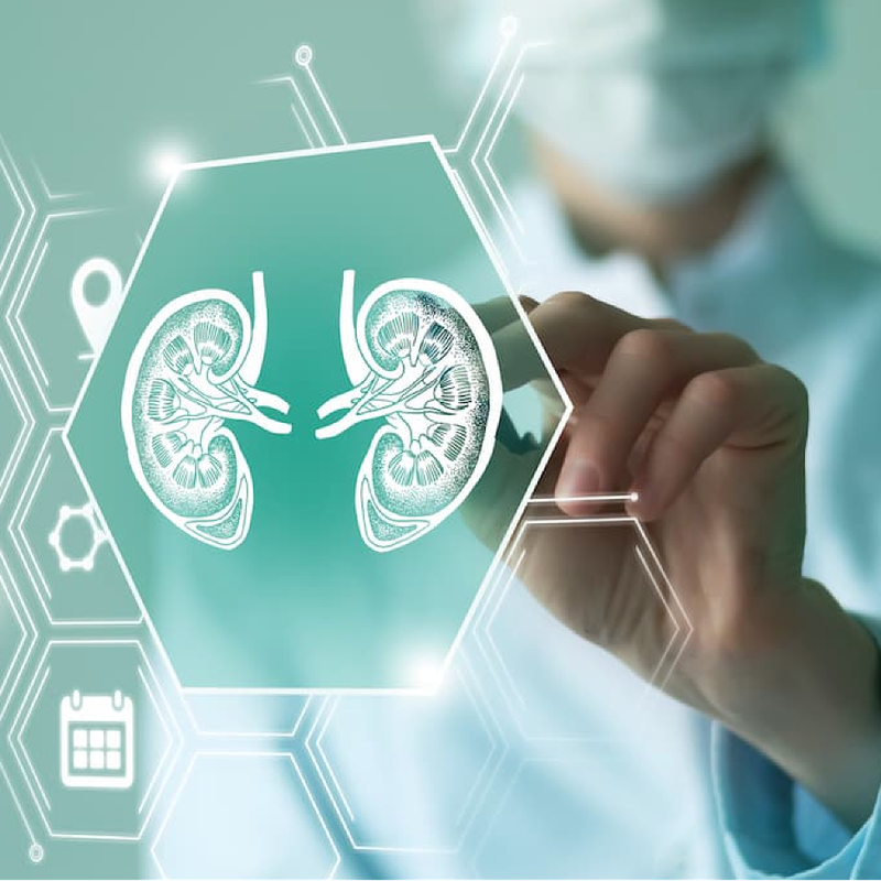 Addressing the Growing Burden of Chronic Kidney Disease