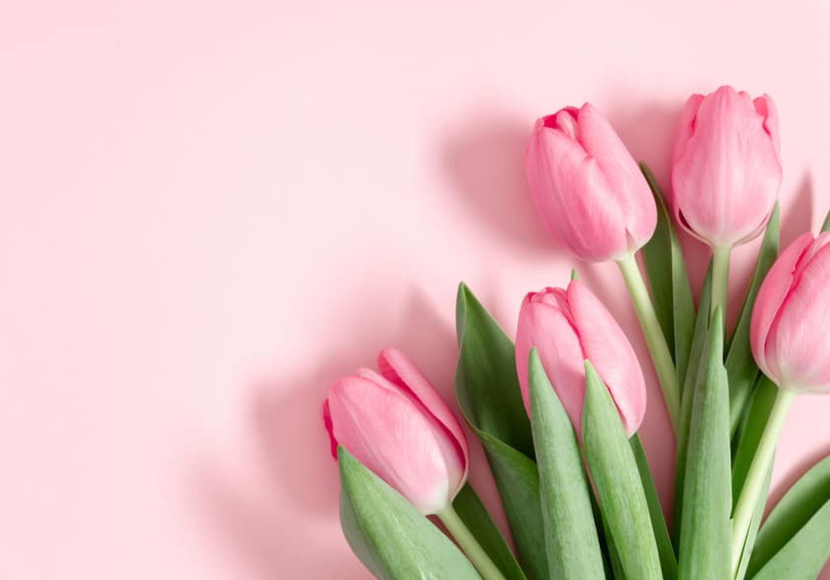Spring Habits: Myth or Fact?