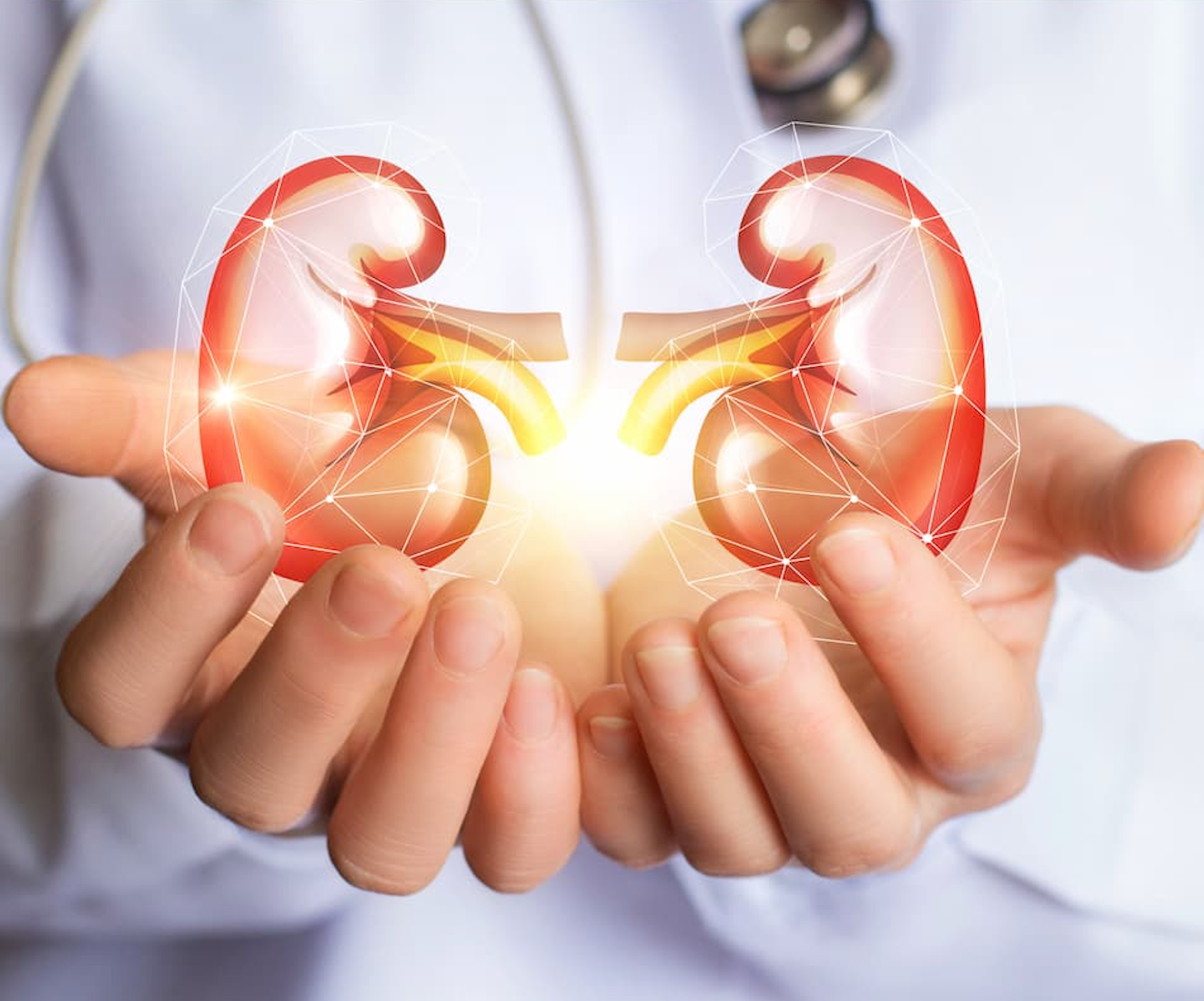 How Your Kidneys Affect Gout: What You Need to Know