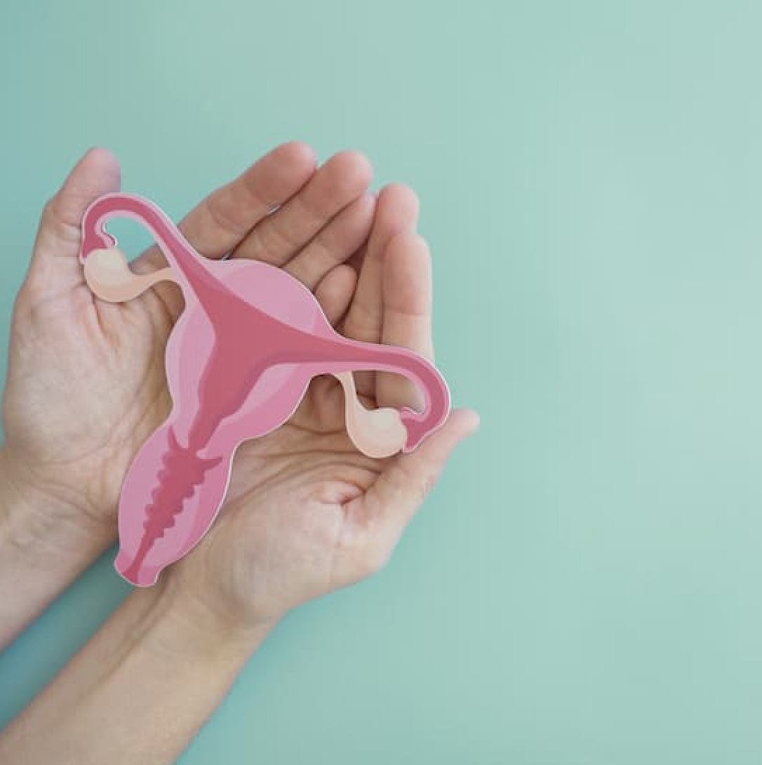 What Do You Know About Menopause? Take the Quiz!