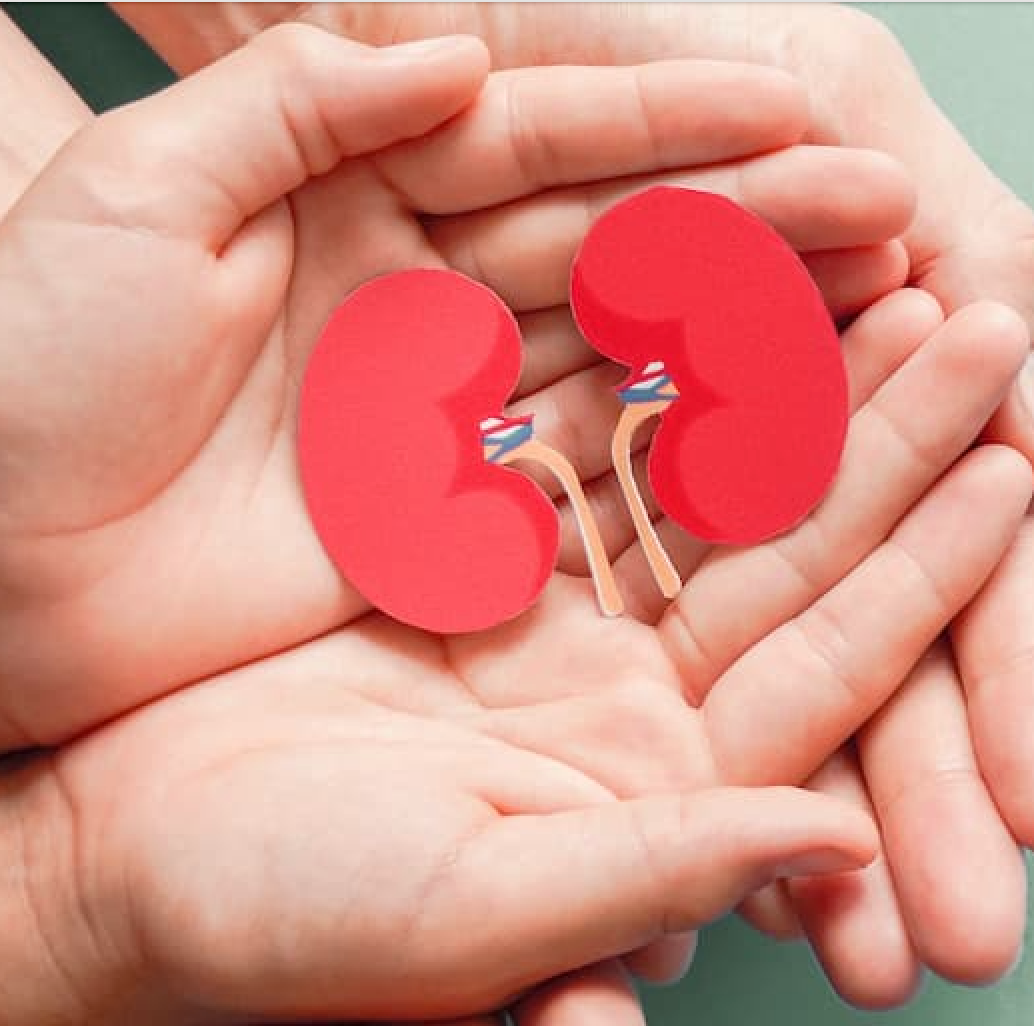 Kidney Health Basics: Take the Quiz!