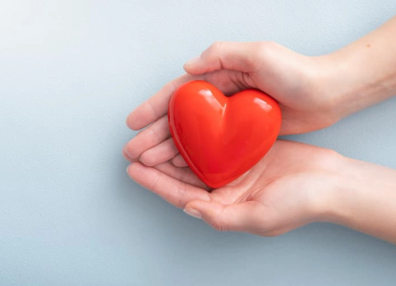 Understanding the Different Types of Cholesterol During American Heart Month