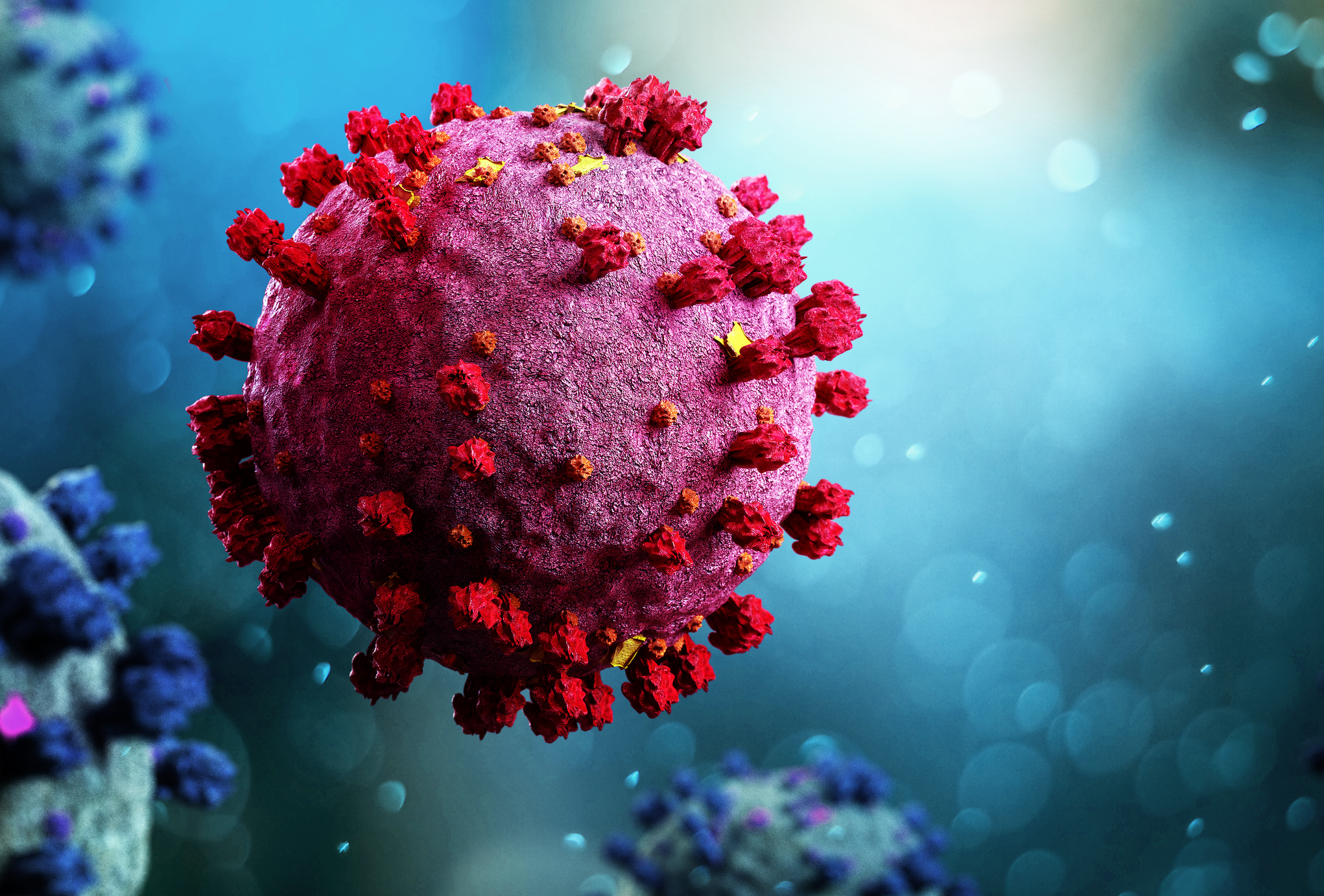 Could the Gut Microbiome Hold Clues to Long COVID Relief?