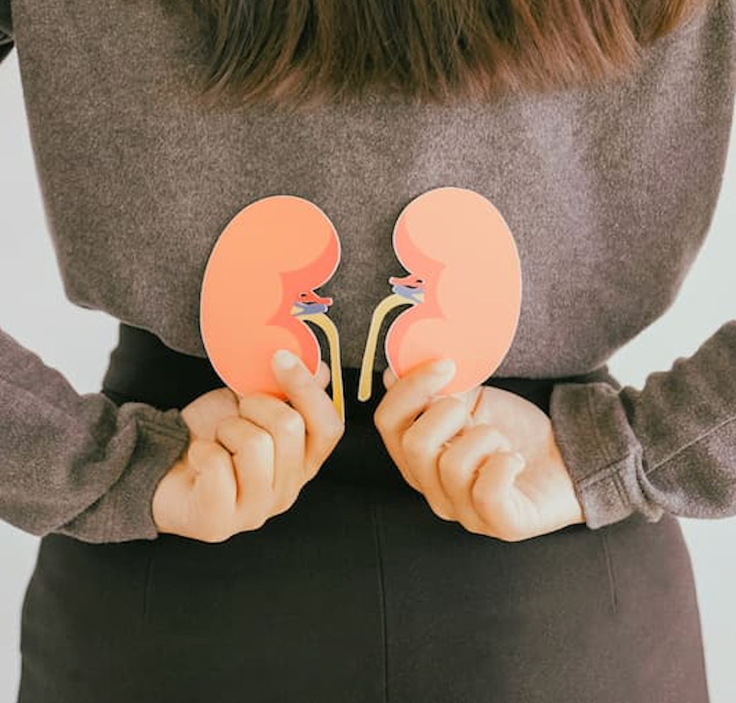 Key Steps to Protect Your Kidneys, with Joseph Vassalotti, M.D.