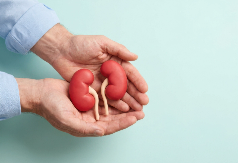Understanding How Modern Diagnostics Support Your Transplant Journey 