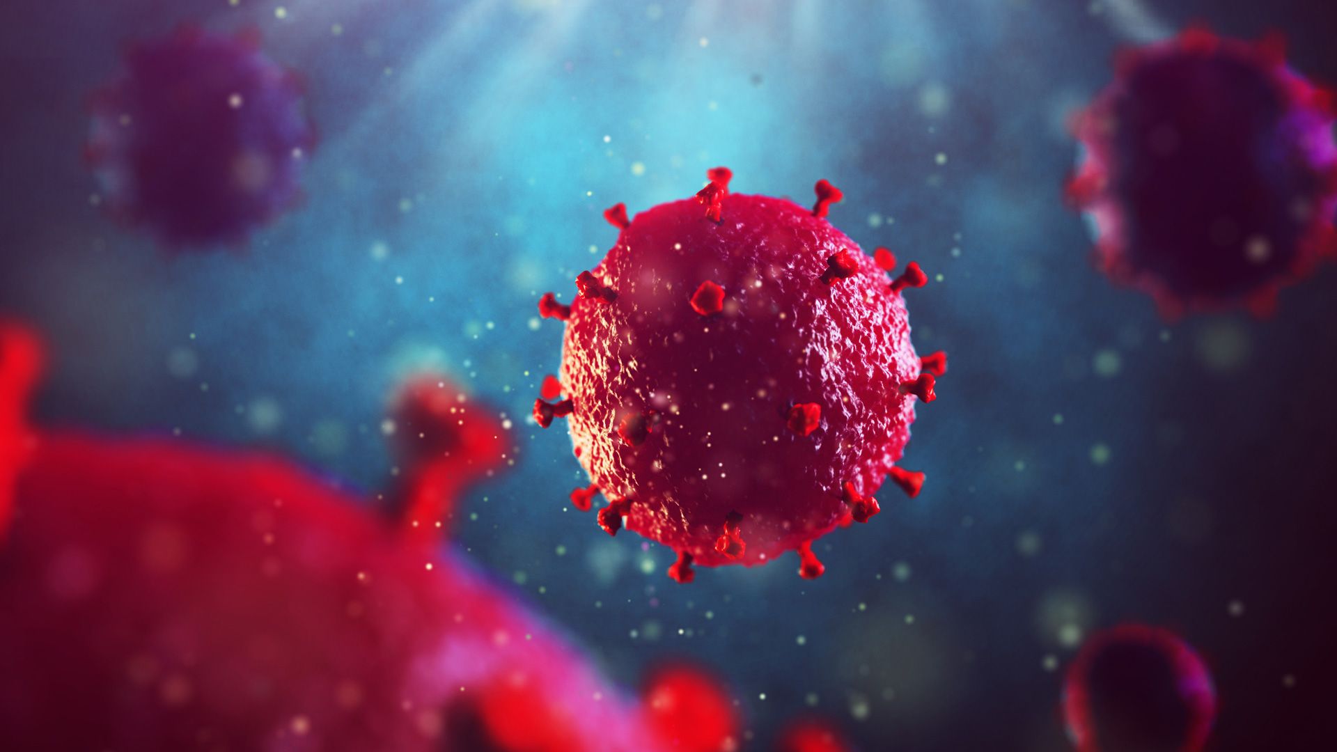 The Educated Patient - HIV/AIDS