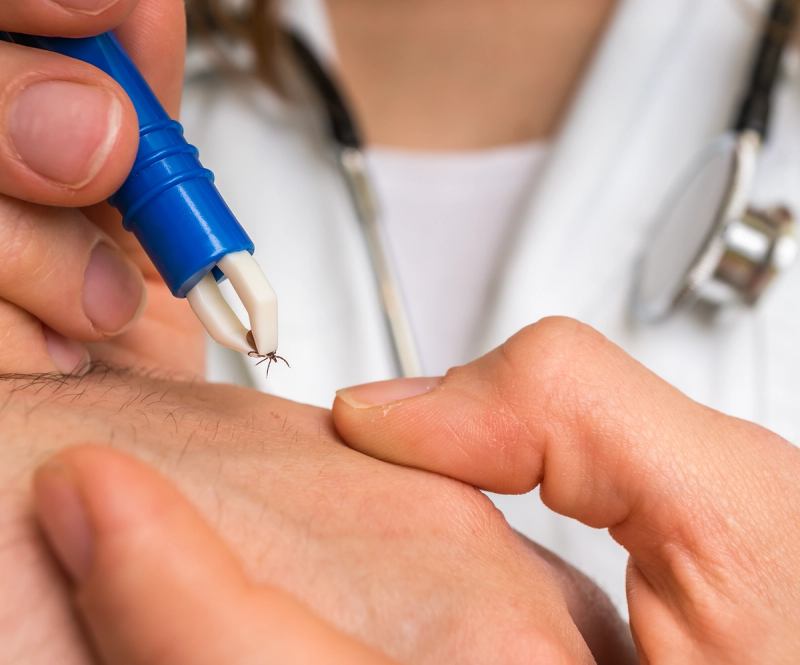 What Patients Need to Know About Lyme Disease, With Liz Horn, Ph.D., MBI