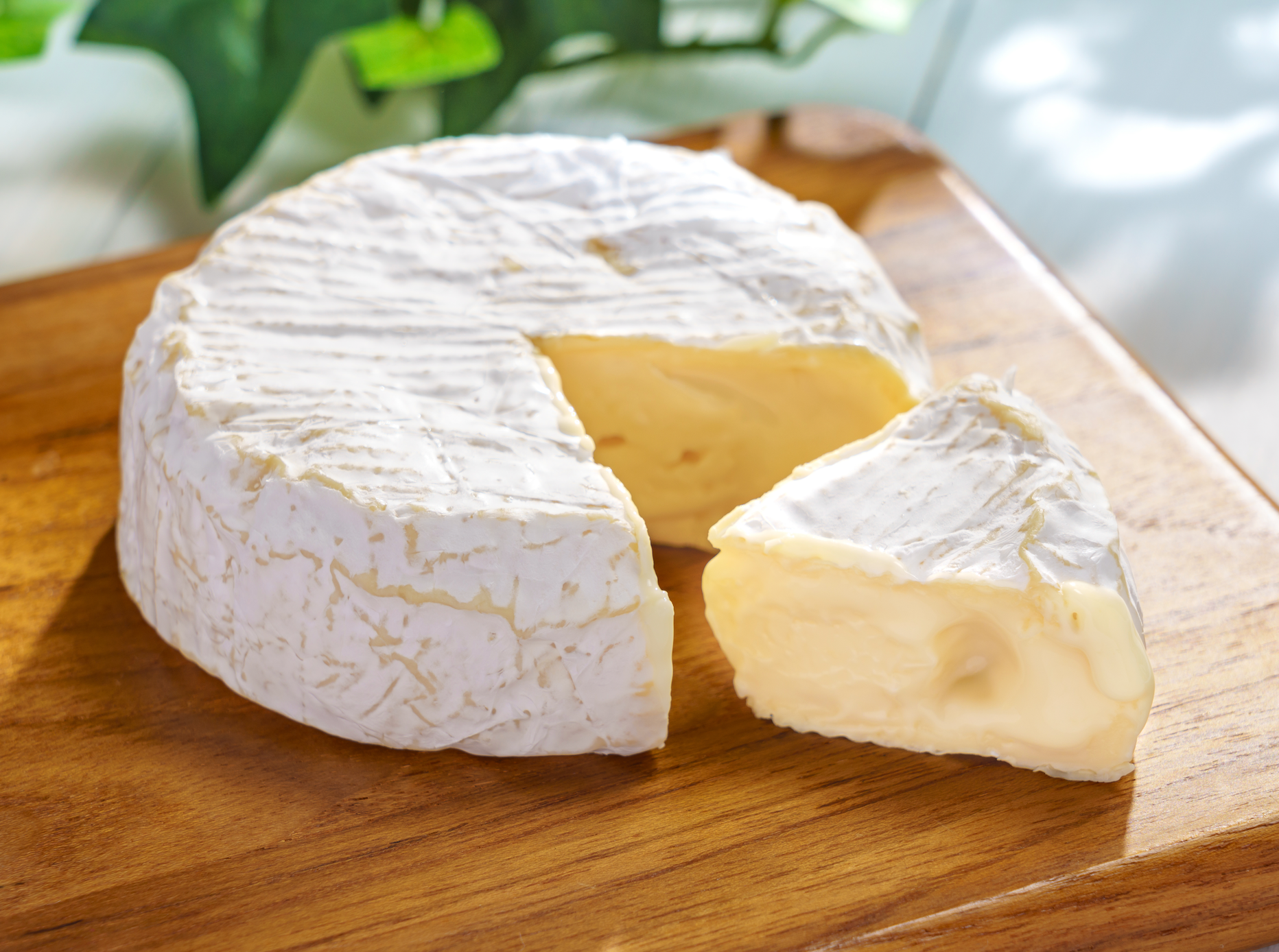 Wegmans Recalls Cheeses Over Listeria Risk