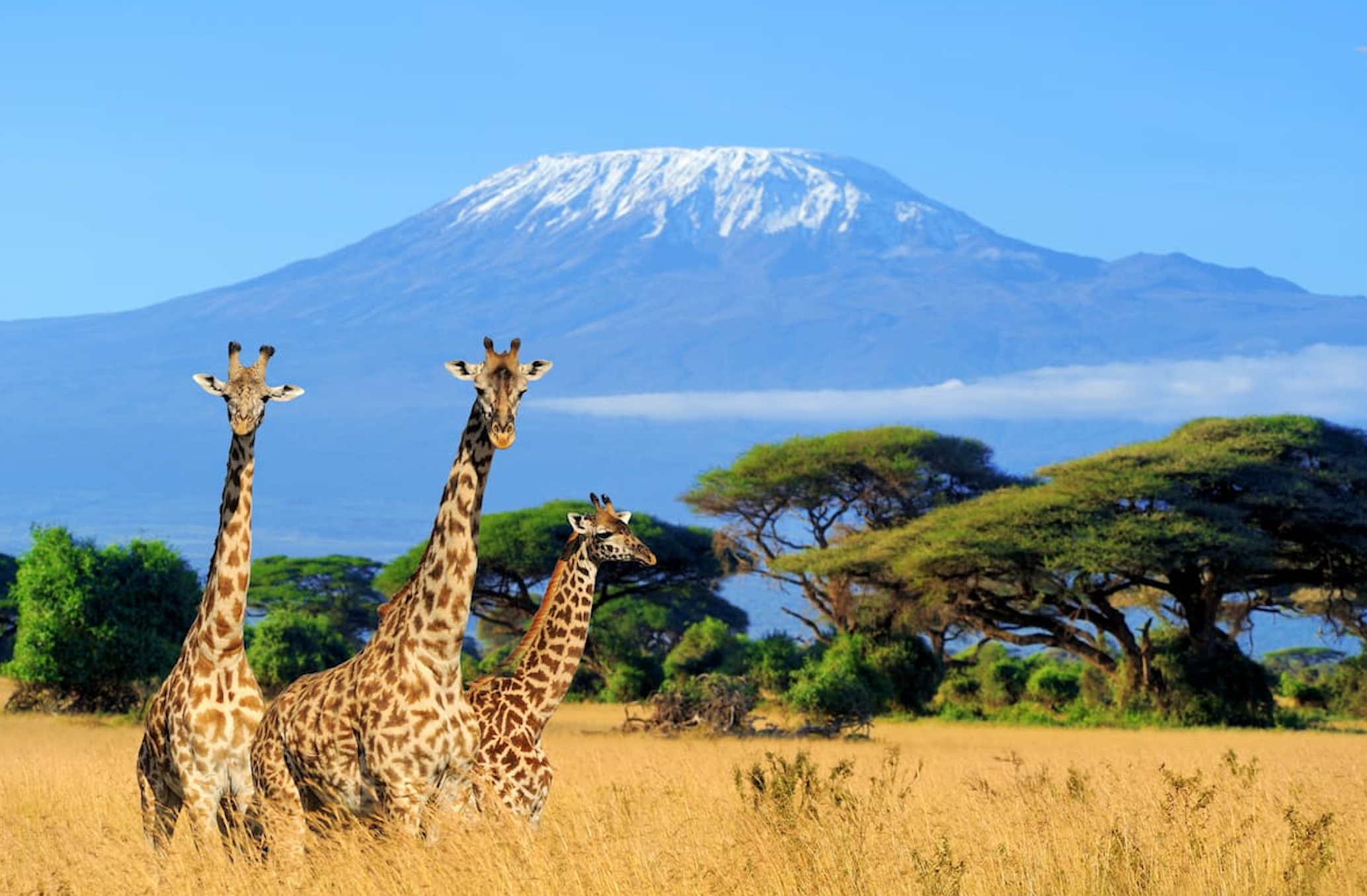 Climbing Kilimanjaro After Years of Eczema Flares: Jenna’s Story
