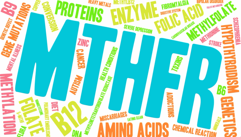 Understanding MTHFR, the Gene Variant Affecting Up to 35% of People