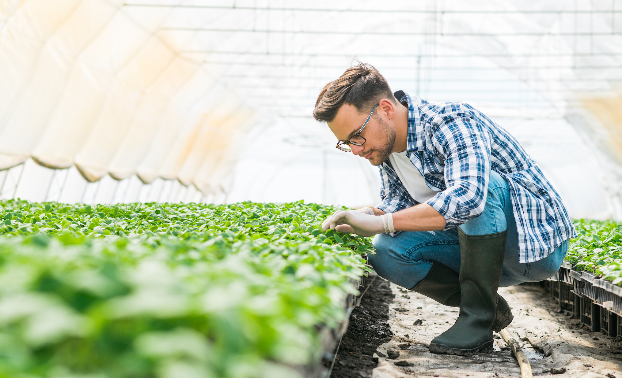 How Environmental Toxins Shape Cancer Risk, With Nathan Goodyear, M.D.
