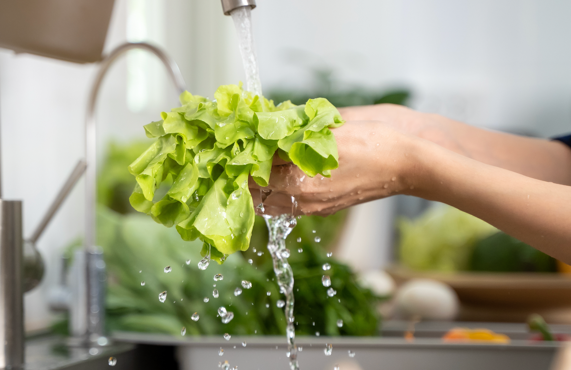 Why Washing Your Produce Will Not Protect You From Cyclospora and What Actually Will