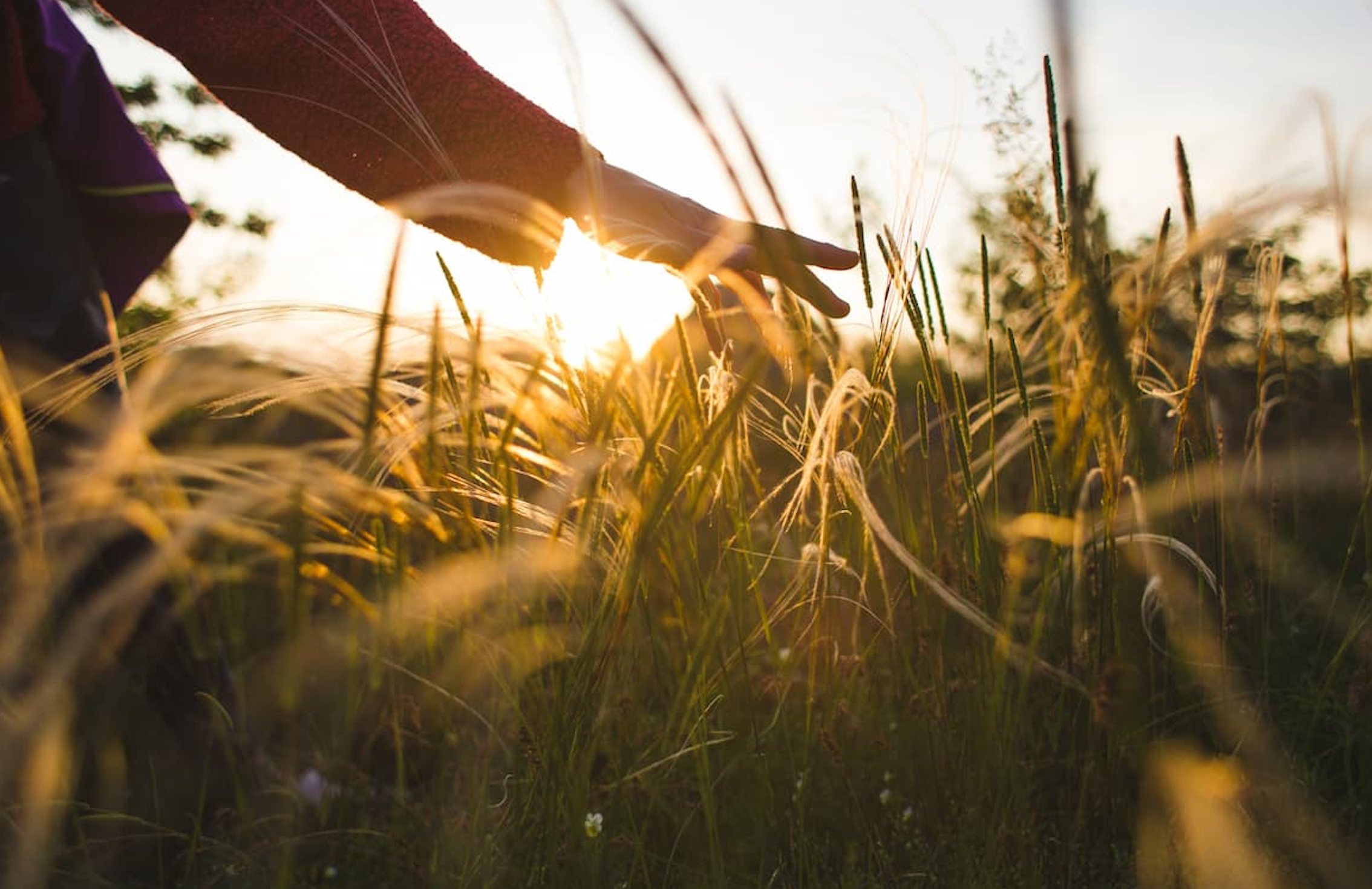 Spending Time in Nature Could Help You Eat Healthier