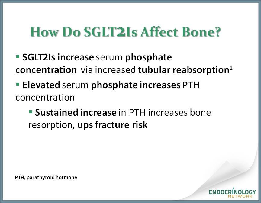 SGLT2Is increase serum phosphate concentration 