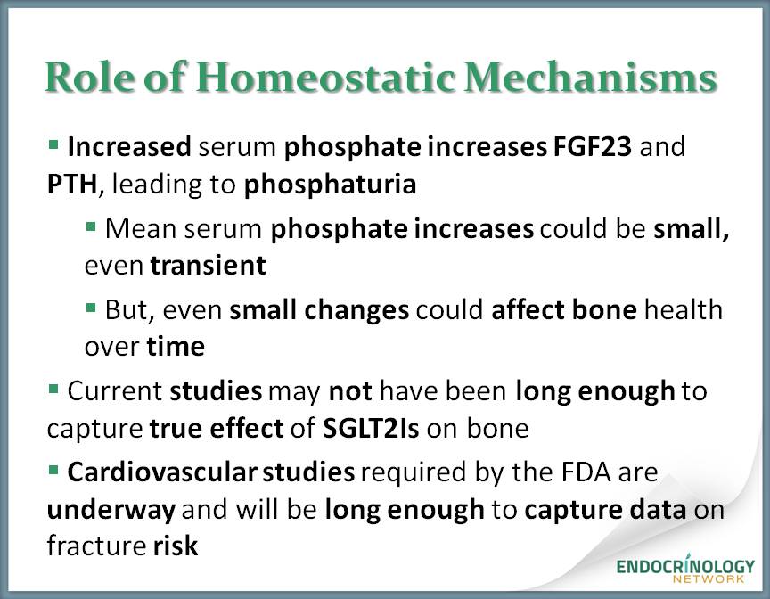 Increased serum phosphate increases FGF23 and PTH, leading to phosphaturia