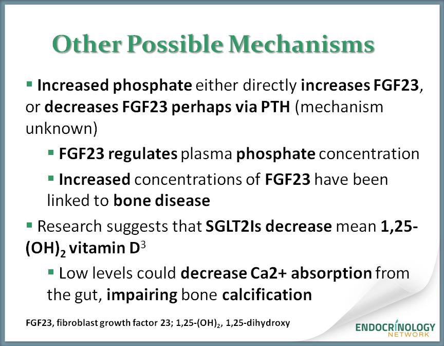 Increased phosphate either directly increases fibroblast growth factor 23 (FGF23