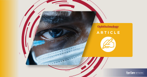 Intravitreal HPMC for chronic structural ocular hypotony: a case series summary