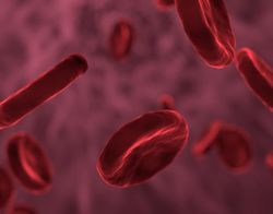 Final Patient With TD β-thalassemia Dosed in Gene-edited Cell Therapy Trial 