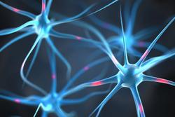 Stem Cell Therapy May Have Effect in Patients With ALS, Schizophrenia, and Autism 