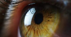 Krystal Biotech’s Neurotrophic Keratitis Gene Therapy Viral Vector Secures FDA Platform Technology Designation