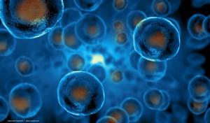 Targeting AMD patient treatment burden