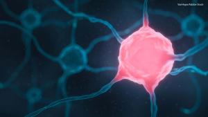 UPenn Algorithm Prioritizes Cancer Mutations for Immunotherapy