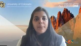 Manali Kamdar, MD, on Evaluating Liso-Cel in Mantle Cell Lymphoma by Lines of Therapy, Prior BTKi