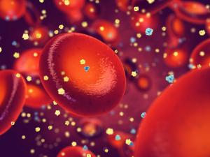 Patients With T1D Achieve Insulin Independence Following Implantation of Cell Pouch System and Islet Transplant