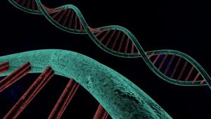 IND Application for Scleroderma Drug Greenlighted by FDA