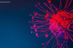 CAR T-Cell Therapy Shows Promise in Multiple Hematologic Malignancies