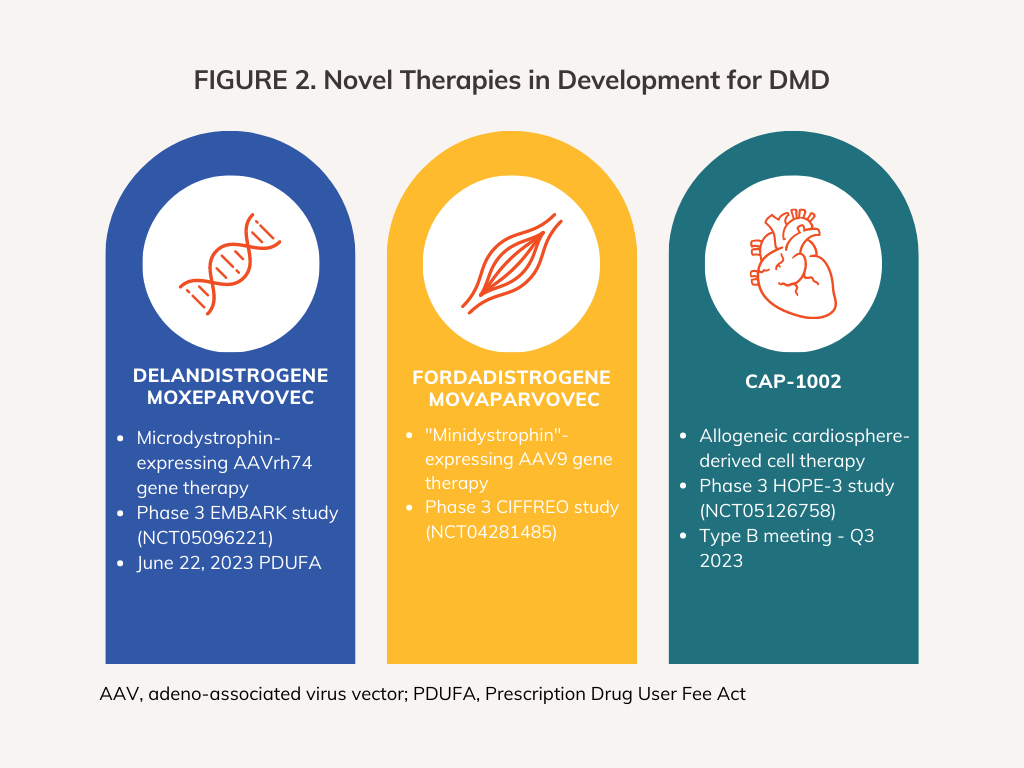 Genetic Medicine in DMD: End Points, Assessment, and Approvals