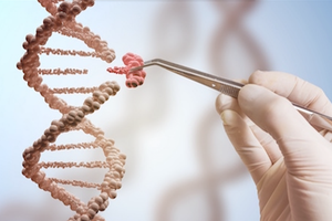 Orchard Therapeutics Receives Rare Pediatric Disease Designation for MLD Therapy