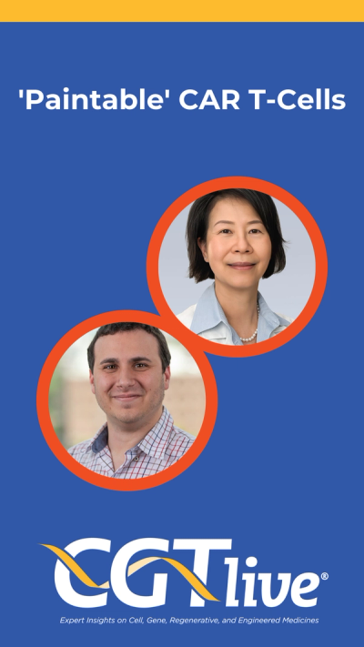 'Paintable' CAR T-Cells