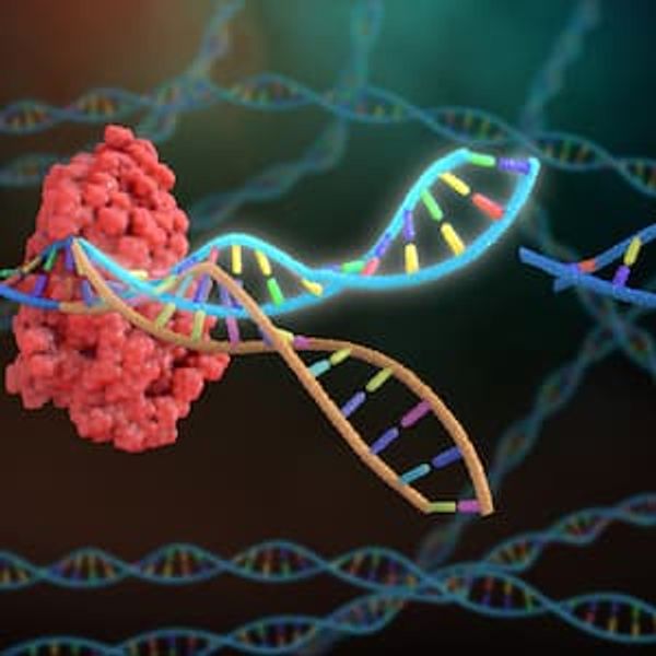 Intellia CRISPR Gene Editing Therapy