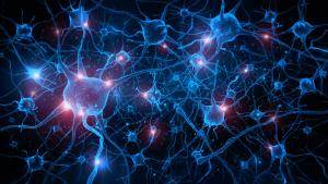 First Patient Treated in Capsida Biotherapeutics’ Trial for Encephalopathy Gene Therapy CAP-002 Passes Away