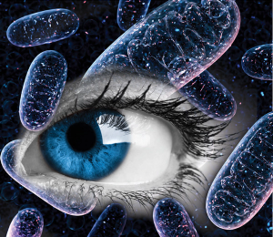 Studies target unilateral gene therapy injection 