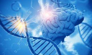 Merit Cudkowicz, MD, on Evaluating Mesenchymal Cell Therapy for ALS 