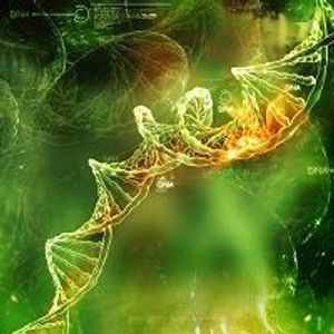 Genetics-Based Advances in Retinitis Pigmentosa Research