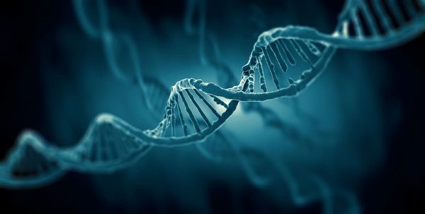 Patients Treated With Spur Therapeutics’ Gaucher Disease Gene Therapy FLT201 Maintain Clinical Benefit for Up to 2 Years