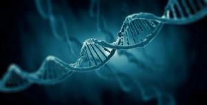 Patients Treated With Spur Therapeutics’ Gaucher Disease Gene Therapy FLT201 Maintain Clinical Benefit for Up to 2 Years