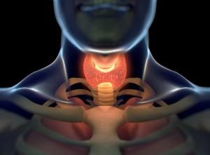 FDA Approves Selpercatinib for Certain Non–Small Cell Lung, Thyroid Cancers