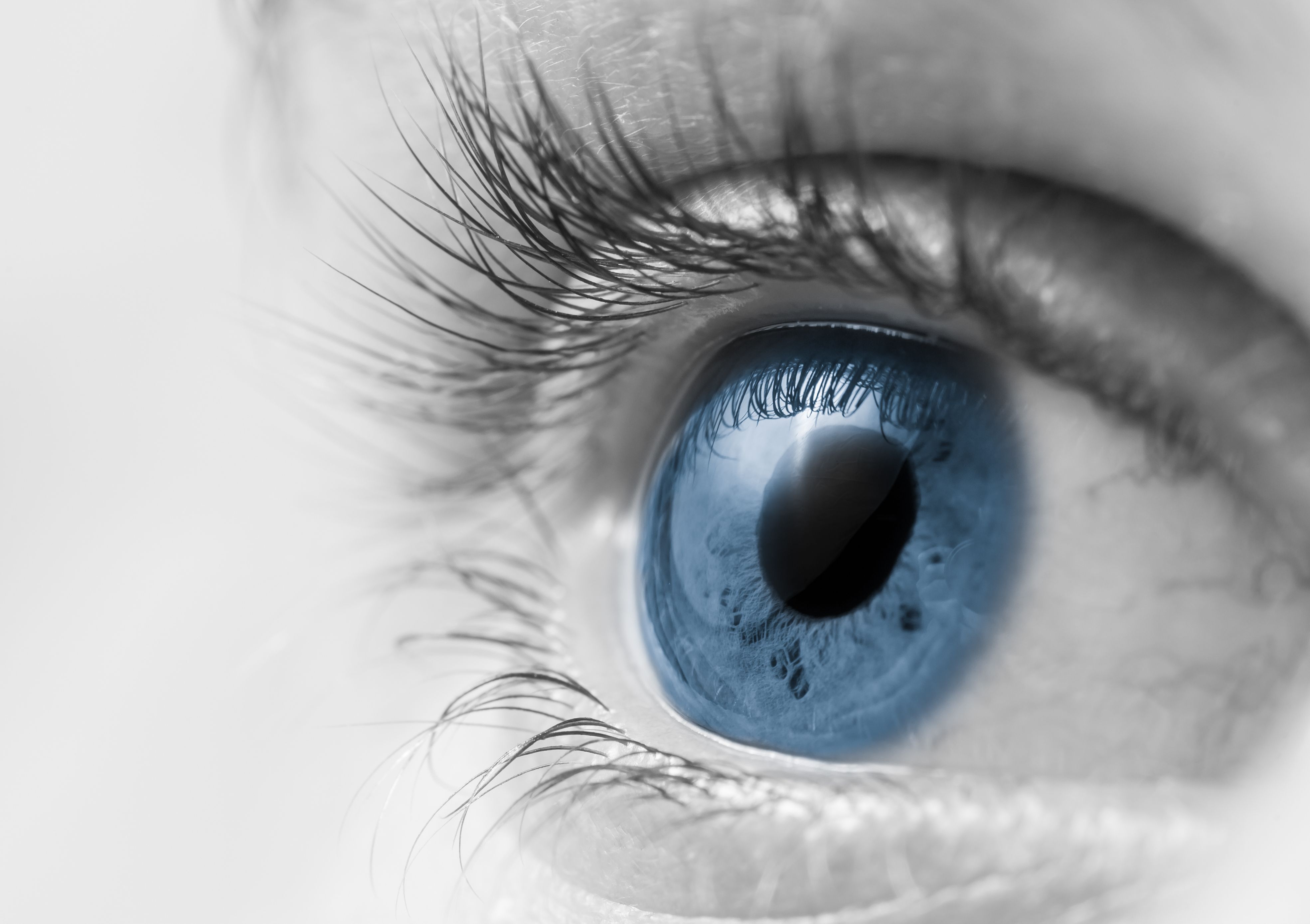 Gene Therapy Partially Restored Vision in Patient with Retinitis Pigmentosa